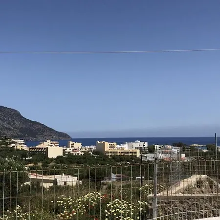 Olia